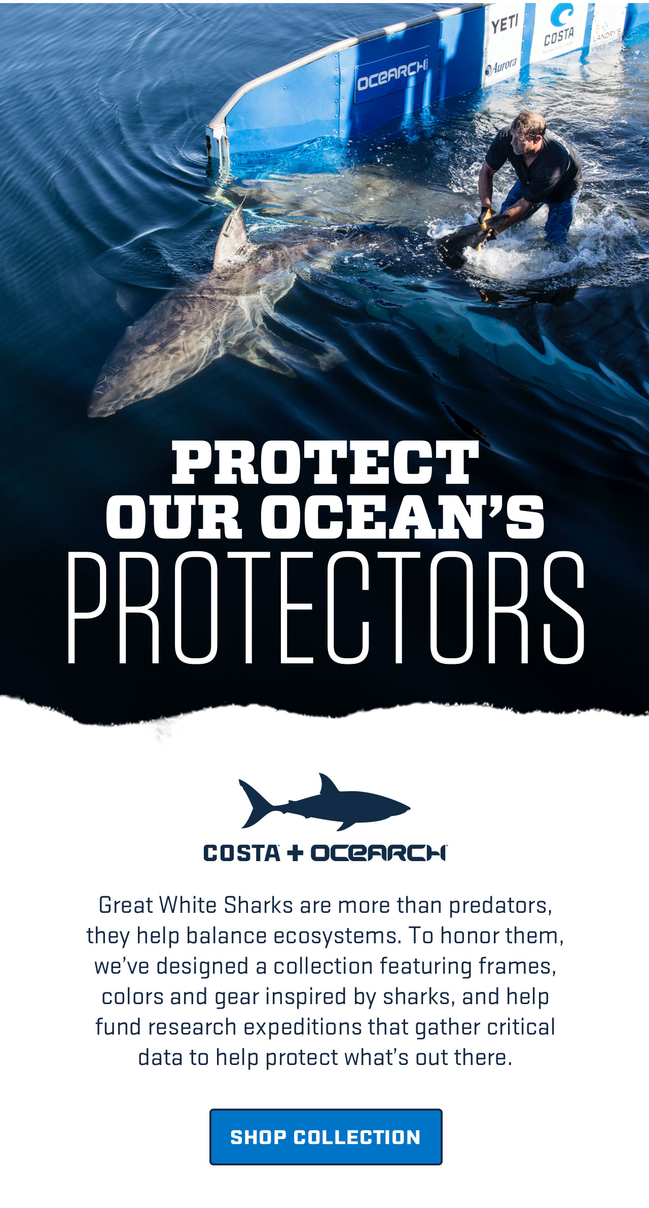 

Protect
our ocean''s
protectors

Costa + Ocearch

Great White Sharks are more than predators, they help balance ecosystems. To honor them, we've designed a collection featuring frames, colors and gear inspired by sharks, and help fund research expeditions that gather critical data to help protect what's out there.

[ SHOP COLLECTION ]

									