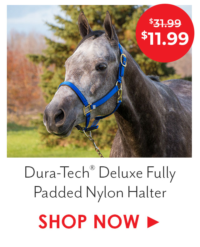 Dura-Tech Deluxe Fully Padded Nylon Halter
