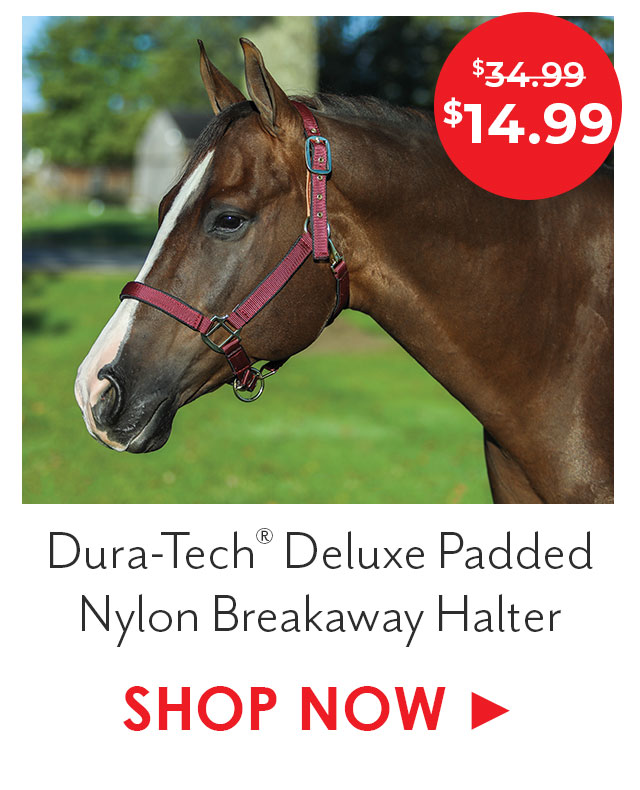Dura-Tech Deluxe Fully Padded Nylon Breakaway Halter