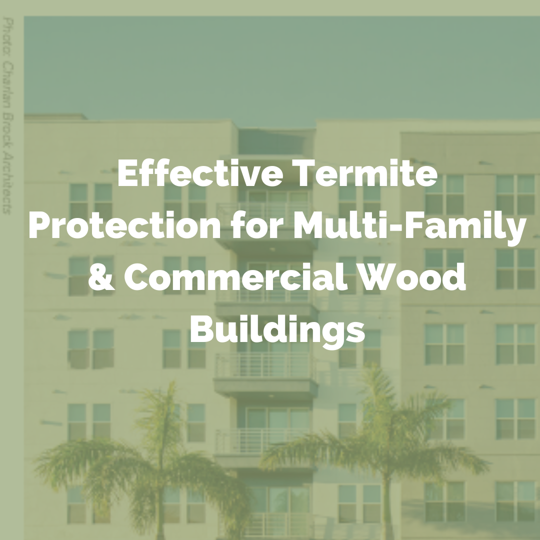  Effective Termite Protection for Multi-Family & Commercial Wood Buildings