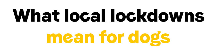 What local lockdowns mean for dogs