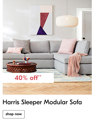 Harris Sleeper Modular Sofa