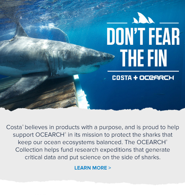 Don't Fear the Fin