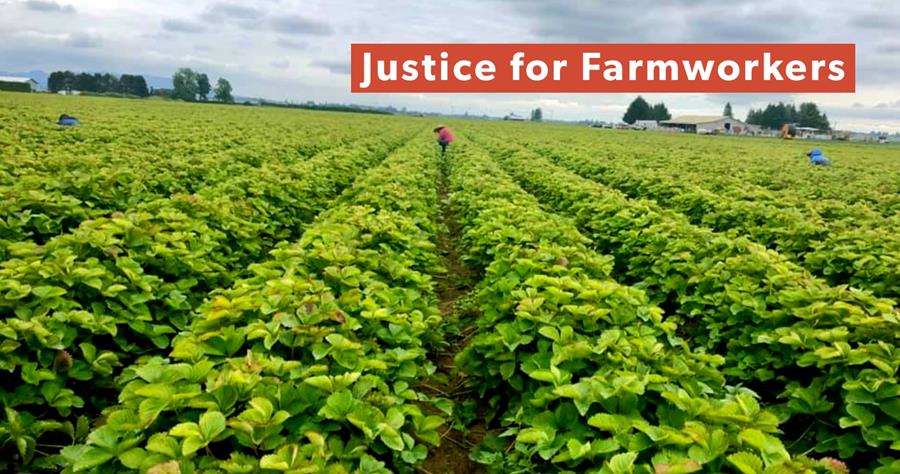 Join us for the Justice for Farmworkers Action Webinar