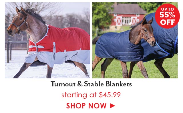 Up to 55% off Turnout & Stable Blankets