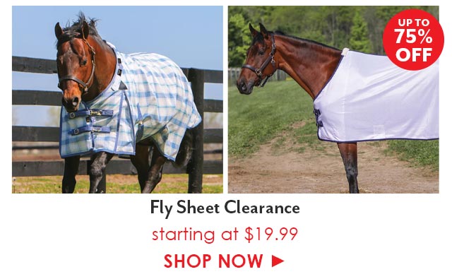 End of Season Fly Sheet Clearance: up to 75% off!