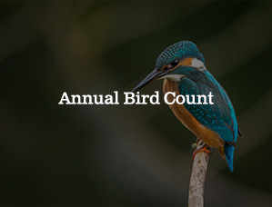 Annual Bird Count