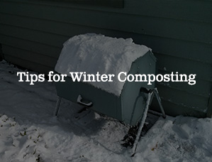 Tips for Winter Composting