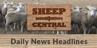 Sheep Central Daily News Headlines