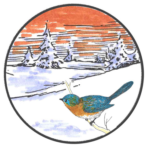 BirdCount-StoryDisk-Color-New