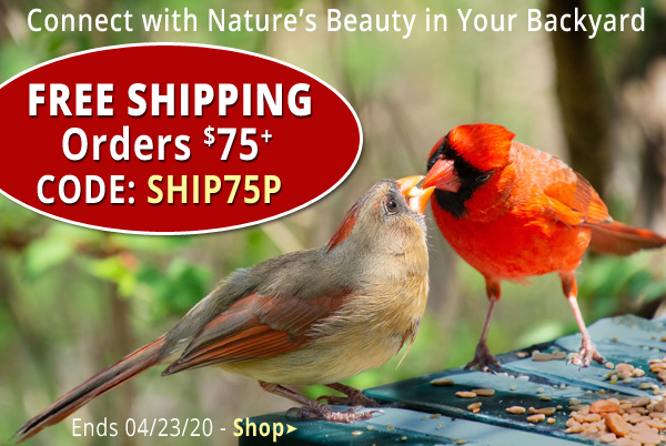 Free Shipping for Orders over $75. Use Promo Code SHIP75P. Offer Ends 04/23/20.