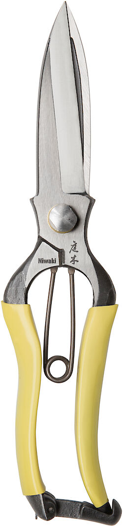 <p><strong>Spotlight on the Niwaki GR Pro Clippers</strong></p> <p>Shorter than a topiary clipper, longer and with a bit more clout than a pair of snips, the GR Pro Clippers sit in a unique and lovely no man''s land - they''ll handle a bit of box clipping, they''re great for slightly rougher chopping back, and the stubby blades are tough enough for a touch of woodier work too.</p>