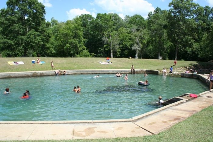Everyone In Alabama Must Visit This Epic Natural Spring As Soon As Possible