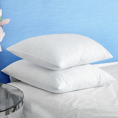 White Feather Pillows for Sleeping, Square Bed Pillows 12 x 12 inch, 18 x 18 inch, 20 x 20 inch, 26 x 26 inch, Set of 2