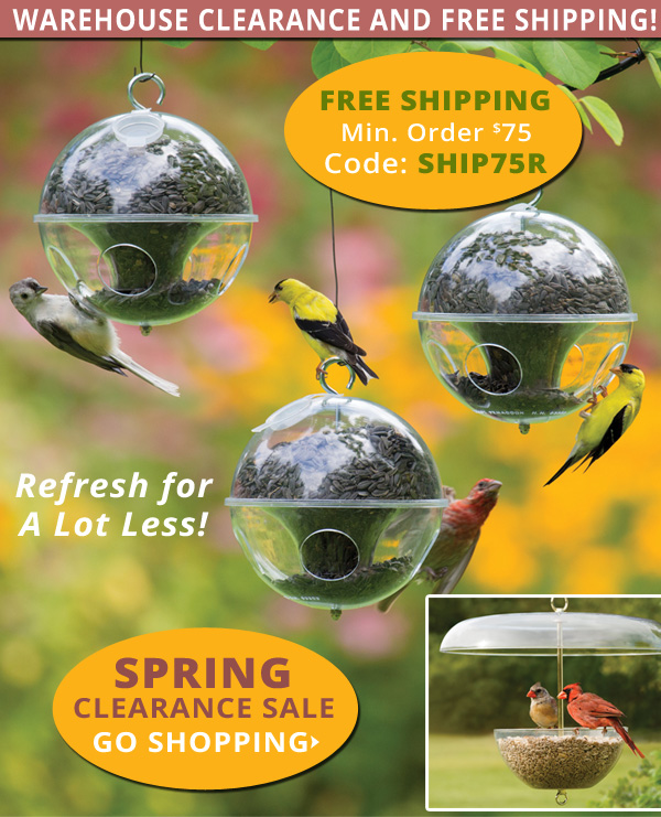 Free Shipping for Orders Over $75. Use Promo Code SHIP75R. Offer Ends 5/4/20.