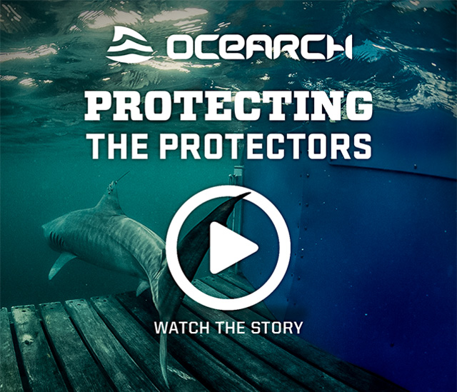 Watch OCEARCH Story