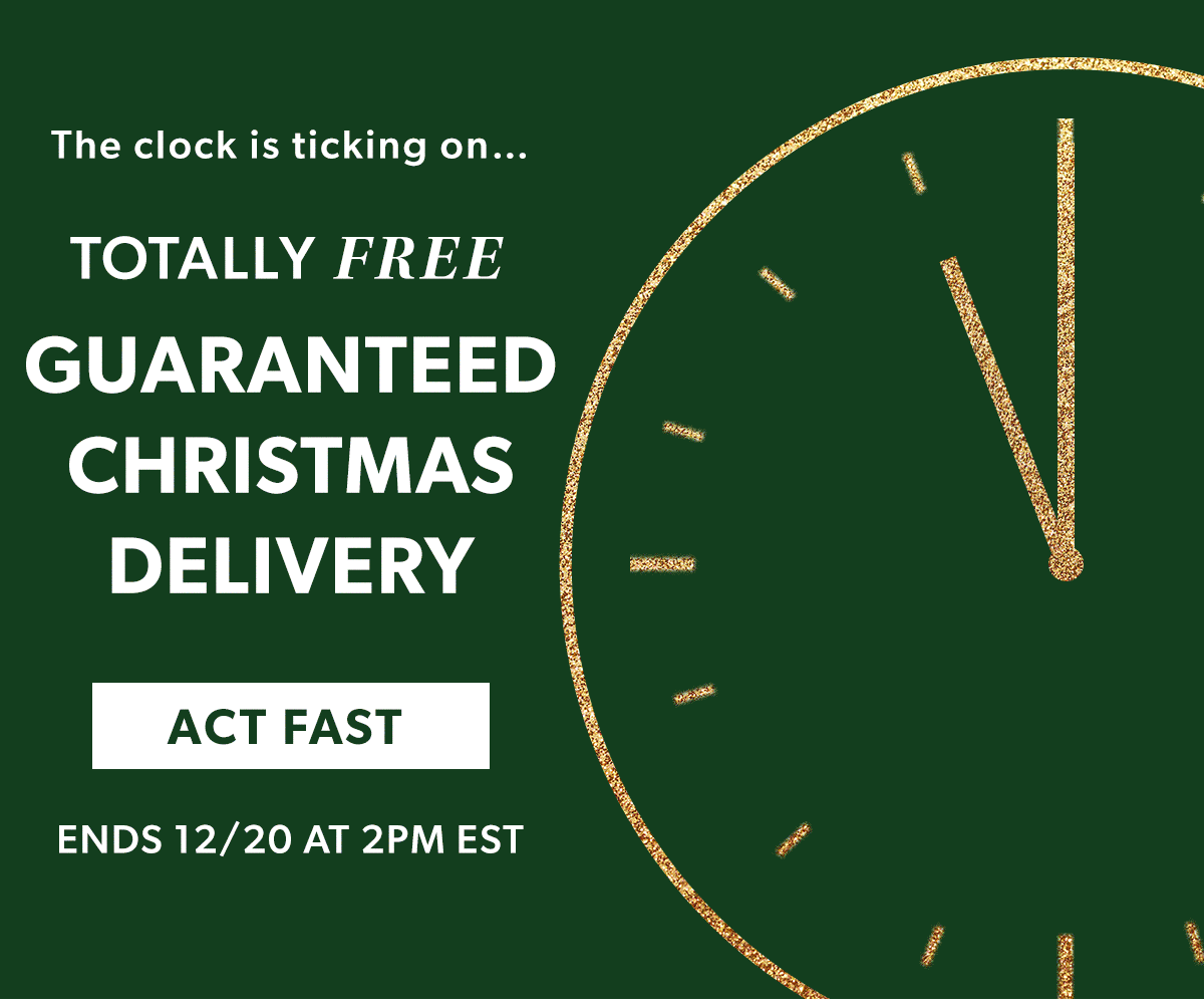 Totally Free Guaranteed Christmas Delivery. Act Fast
