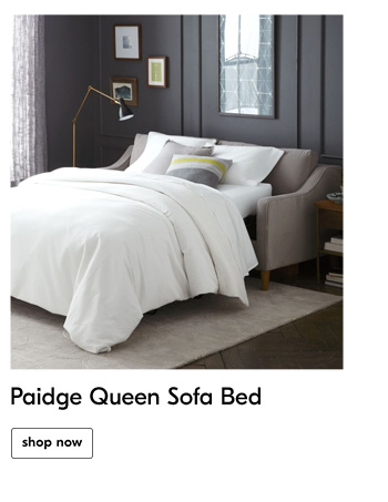 Paidge Queen Sofa Bed