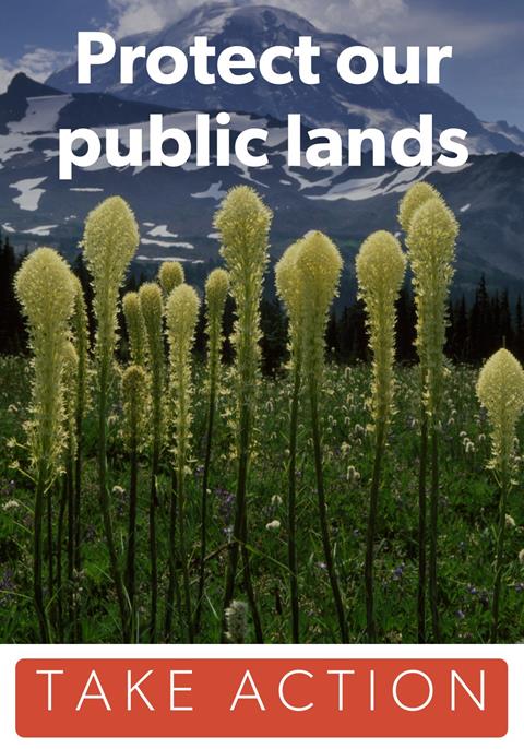 Protect public lands