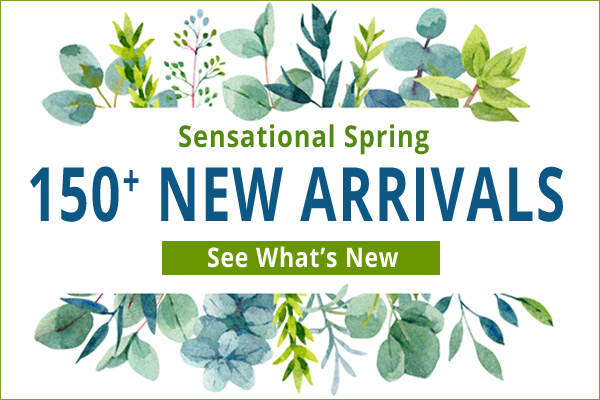 Shop New Spring Arrivals!