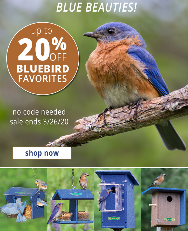 Save Up to 20% Off on Select Bluebird Favorites!
