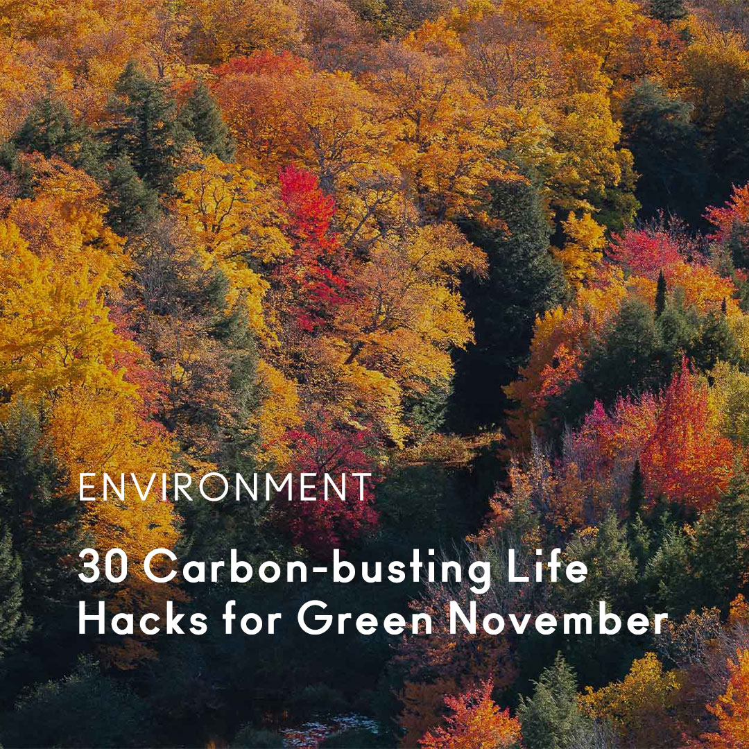 https://agood.com/blogs/stories/30-carbon-saving-tips-for-green-november