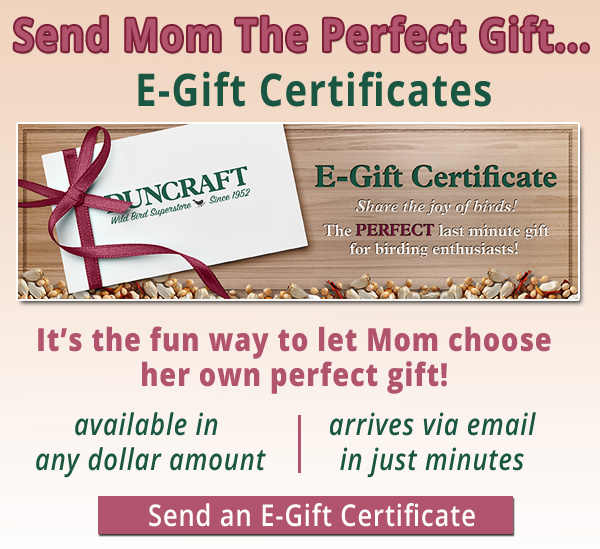 Send Mom The Perfect Gift! Send an E-Gift Certificate Now!
