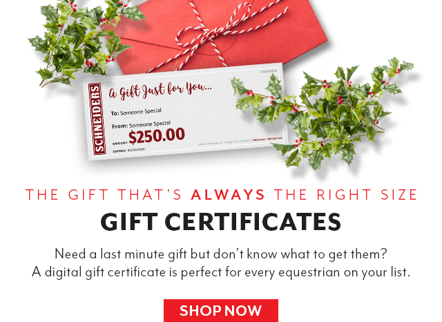 Need something in a hurry and can't decide on what to get? A digital gift certificate is always the right size!