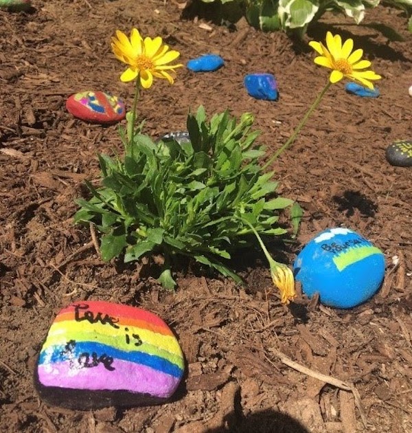Creating a rock garden is a great summer activity. For more great ideas during social distancing, check out our guide.