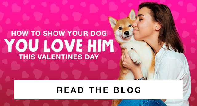 Read Our Valentines Blog
