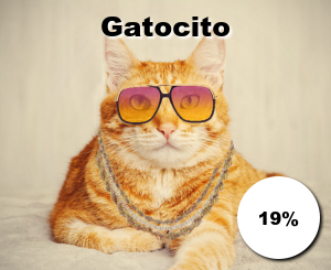 Gatocito