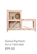 Guinea Pig Hutch