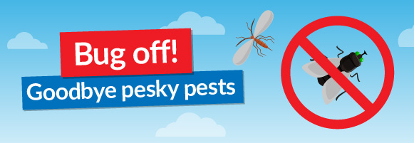 Bug off! Goodbye pesky pests