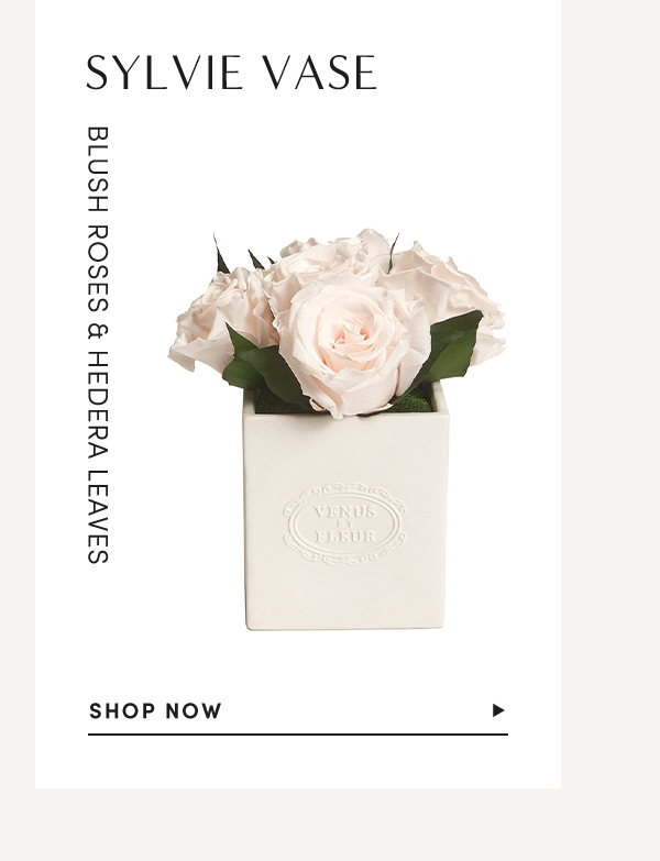 Sylvie Vase | Blush Roses & Hedera Leaves | Shop Now