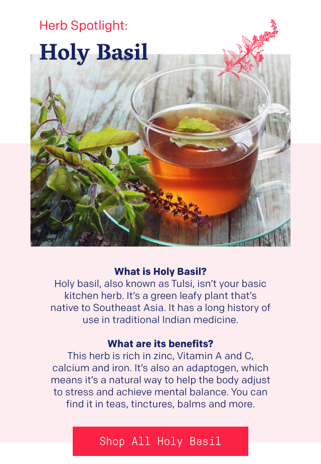 Herb Spotlight: Holy Basil