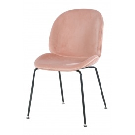 Luxurious Blush Pink Velvet Dining Chair with Black Metal Legs