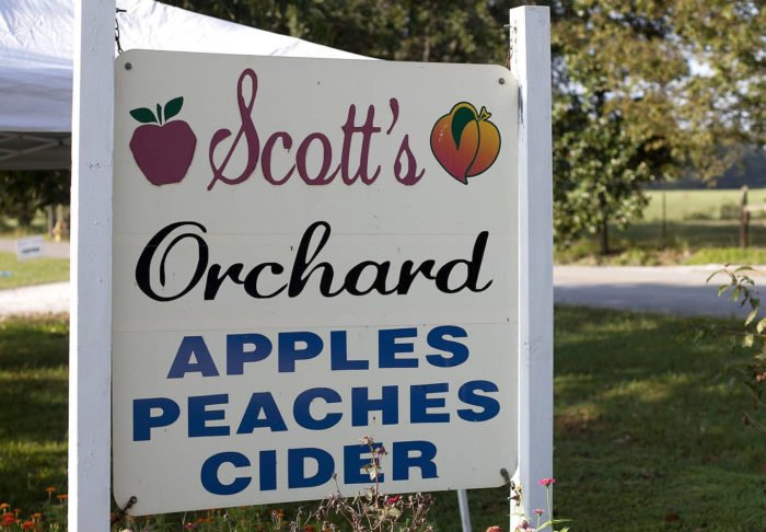 Enjoy Fresh-Pressed Apple Cider This Fall At Scott''s Orchard In Alabama