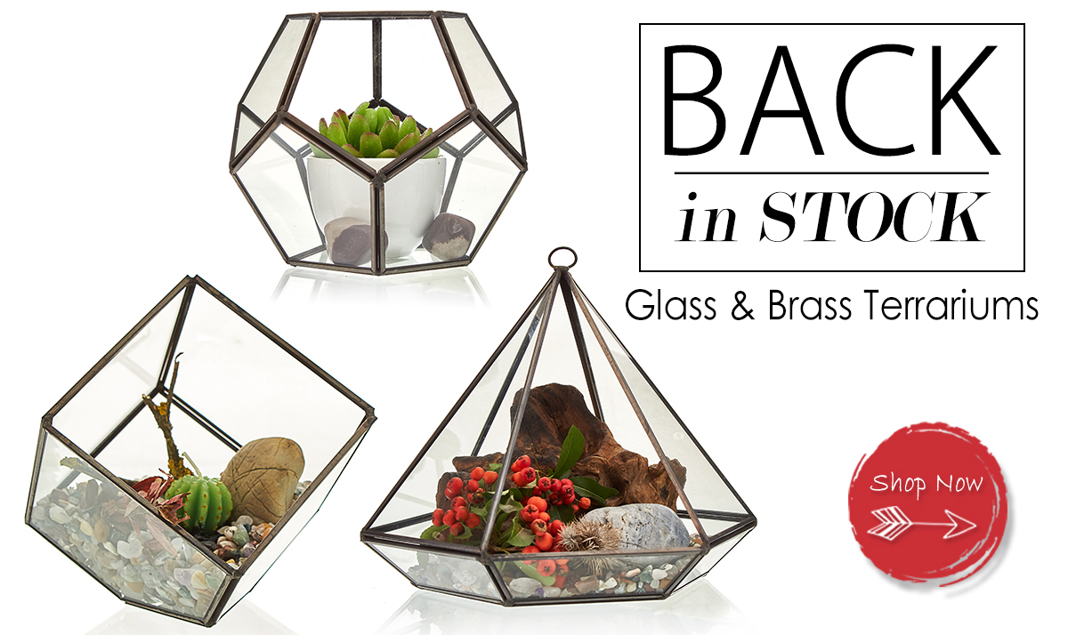 Wholesale Glass & Brass Terrariums