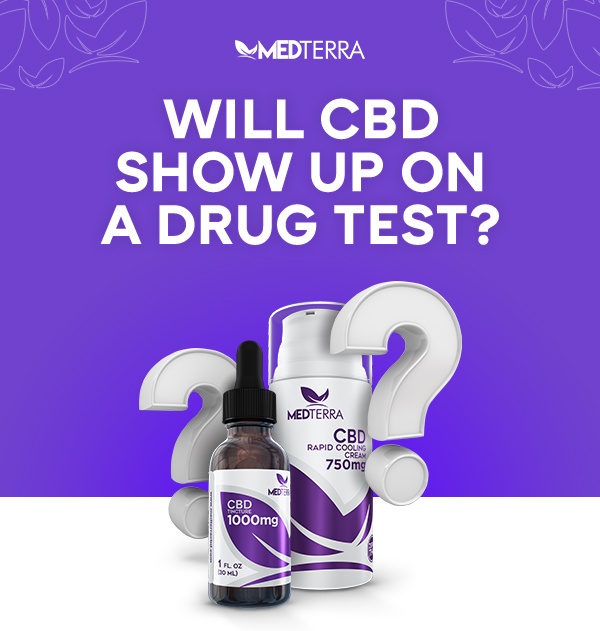 Medterra | Will CBD show up on a drug test?