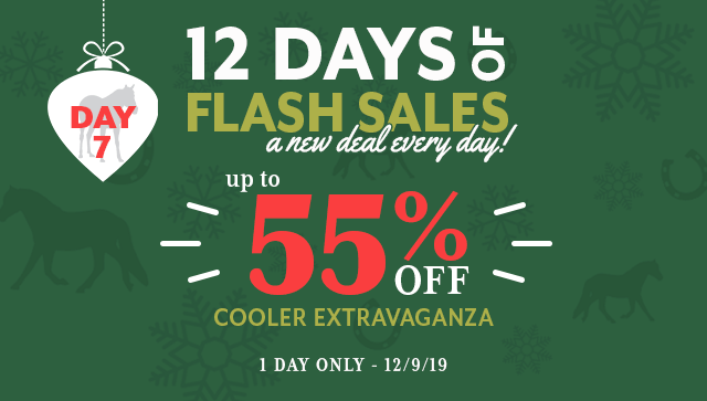 12 Days of Flash Sales: Day 7 up to 55% Coolers.