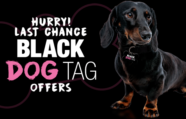 Last Chance for Black Dog Tag Offers