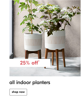 All Indoor Planters - Shop Now