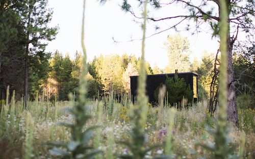 Getaway destination in field of wild flowers.