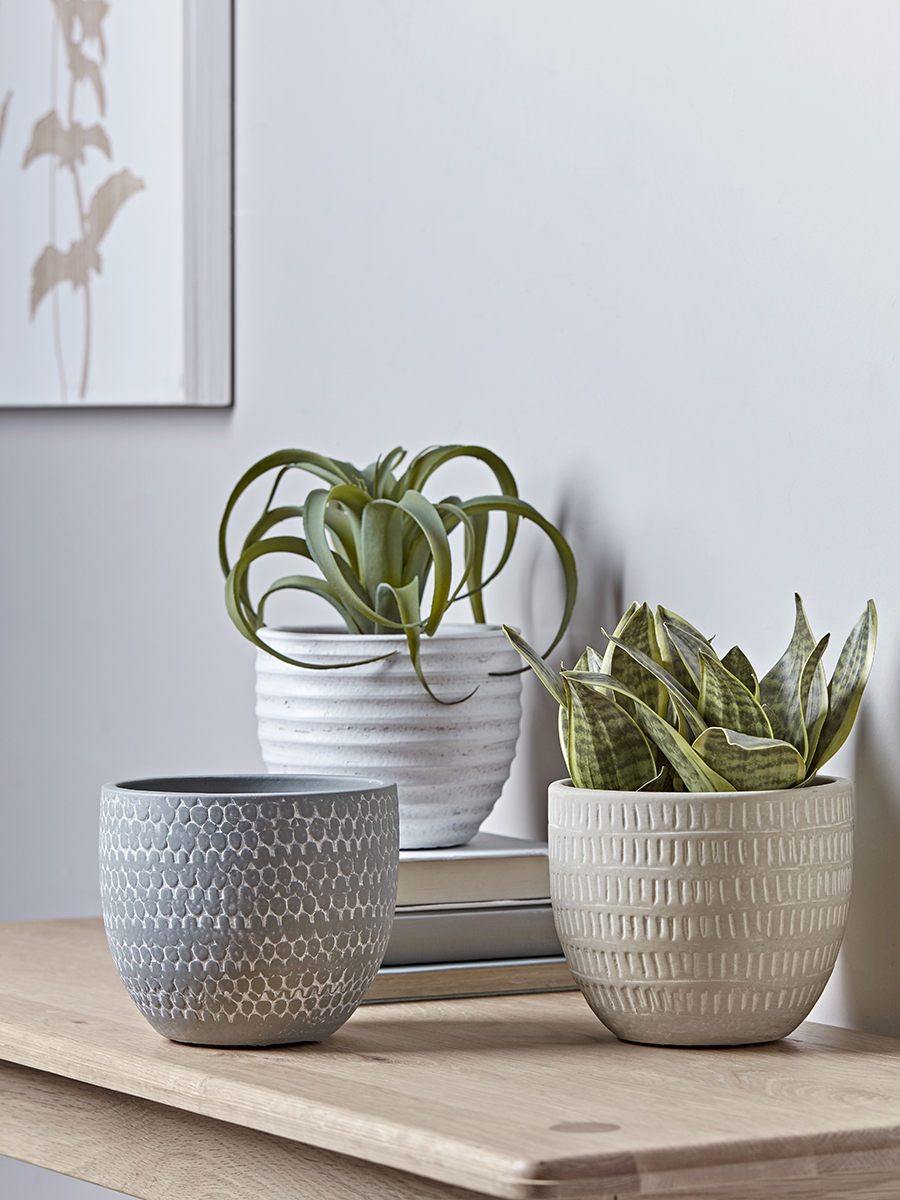 NEW Three Soft Geometric Terracotta Planters