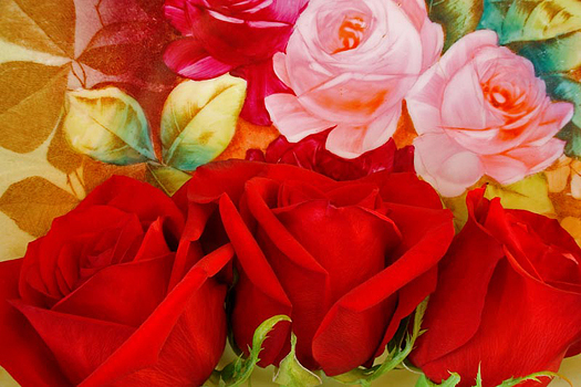 Closeup of roses by Don Paulson