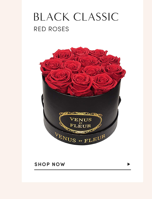Black Classic Red Roses | SHOP NOW