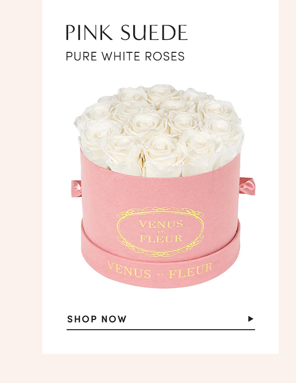 Pink Suede Pure White Roses | SHOP NOW