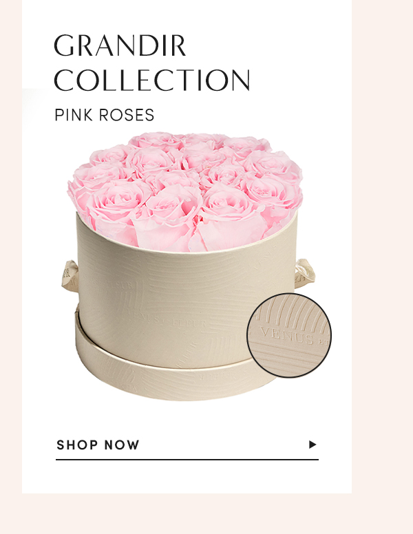 Grandir Collection Pink Roses | SHOP NOW