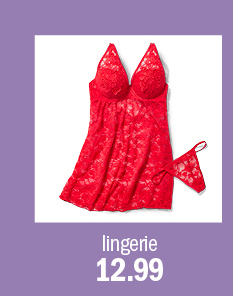 lingerie 12.99