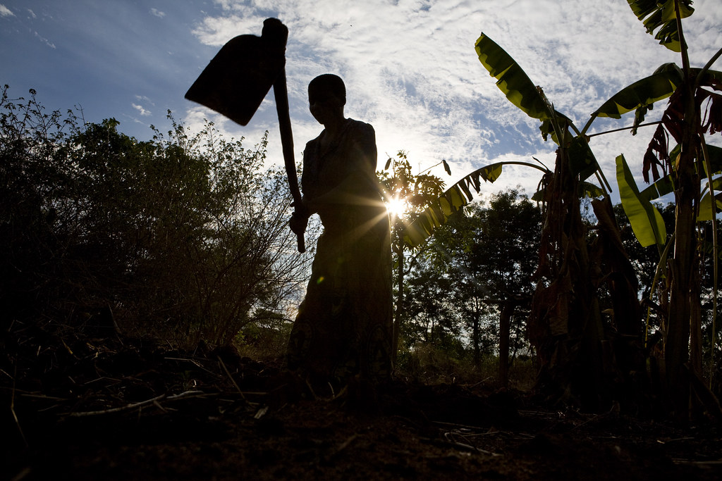 A farmer in Tanzania tends to crops.